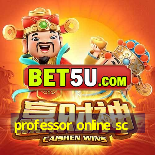 professor online sc